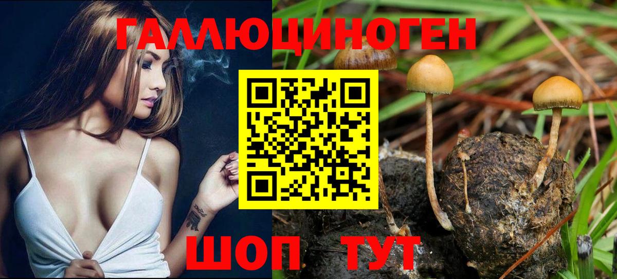 Галлюциногенные грибы ЛСД Кохма