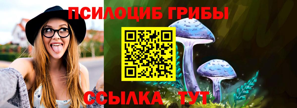 Кохма  Псилоцибиновые грибы мицелий  Вход с VPN 